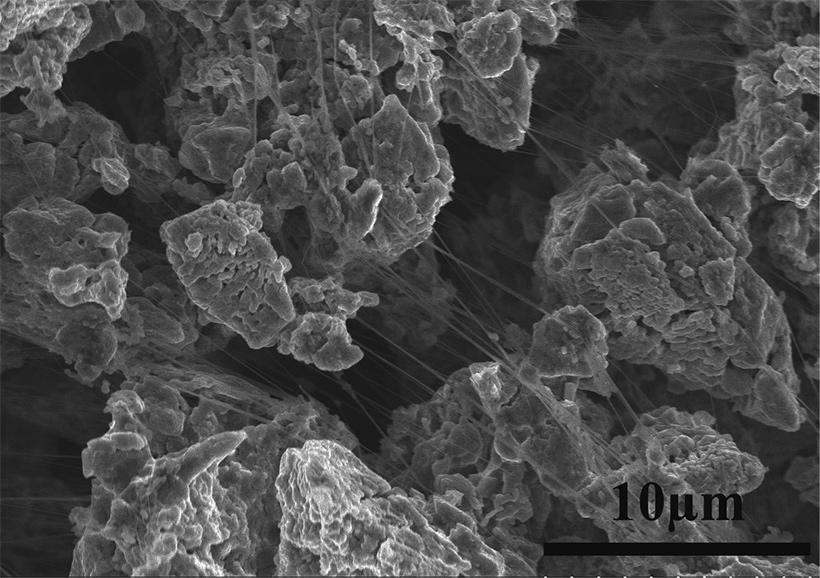 2871722321916530.jpg 圖片2.jpg