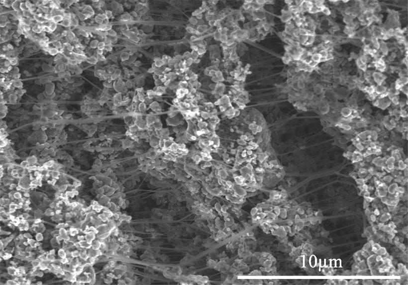 327172232189210.jpg 圖片1.jpg