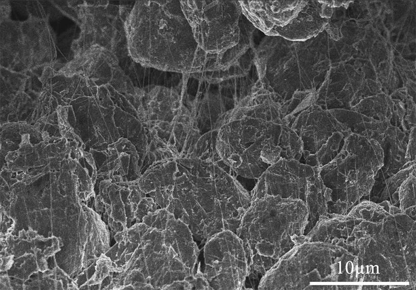 67172232197279.jpg 圖片4.jpg